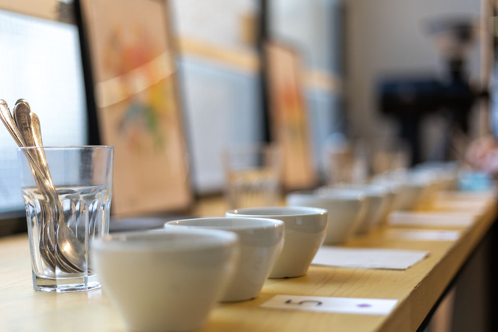 SPECIALTY COFFEE ASSOCIATION SENSORY SKILLS