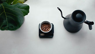 Acaia Scale