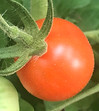 IMG_3820.jpeg
