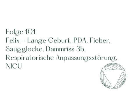 Felix | Lange Geburt, PDA, Fieber, Saugglocke, Dammriss 3b, Respiratorische Anpassungsstörung, NICU