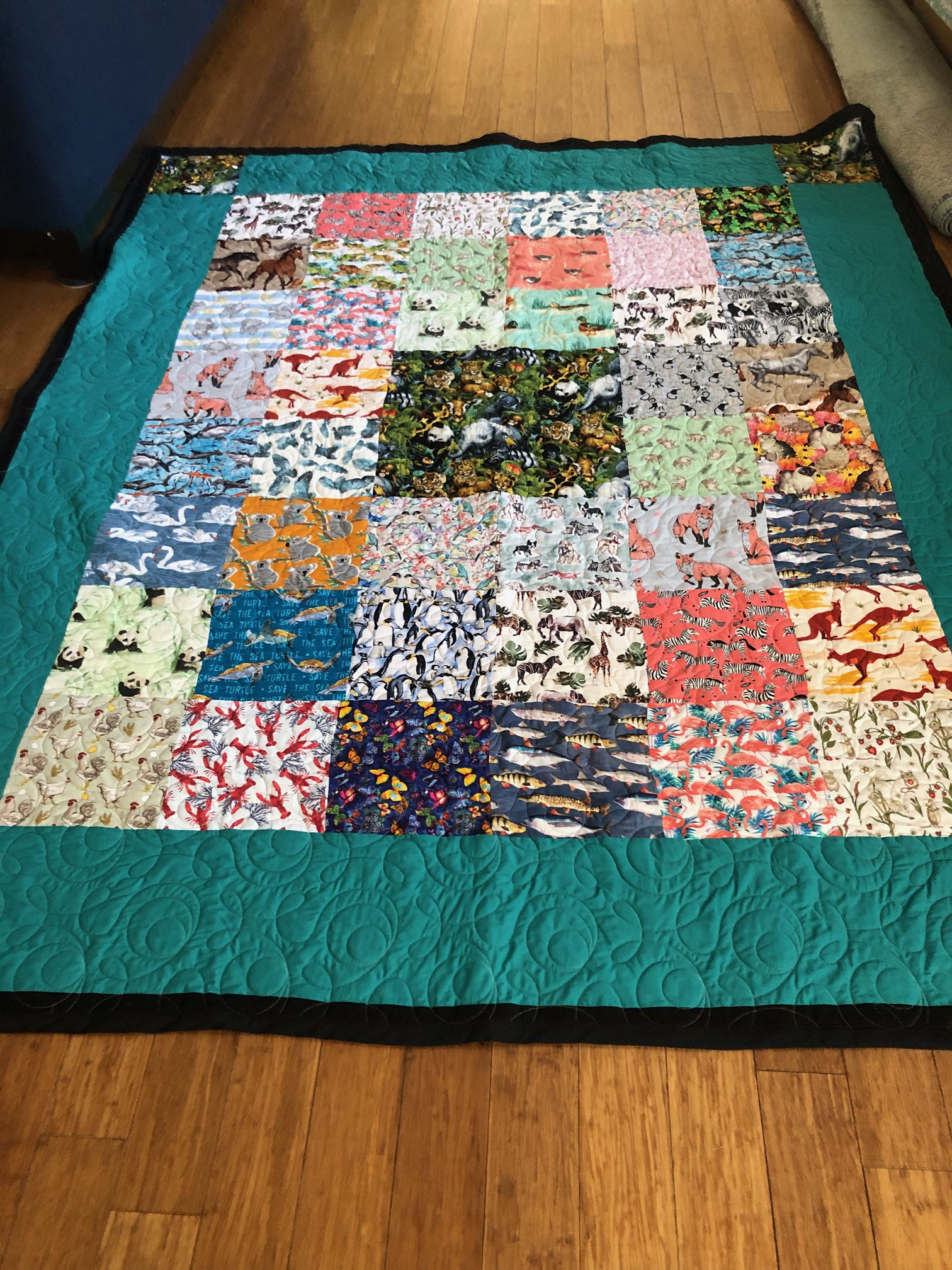 #18 NAME THAT ANIMAL