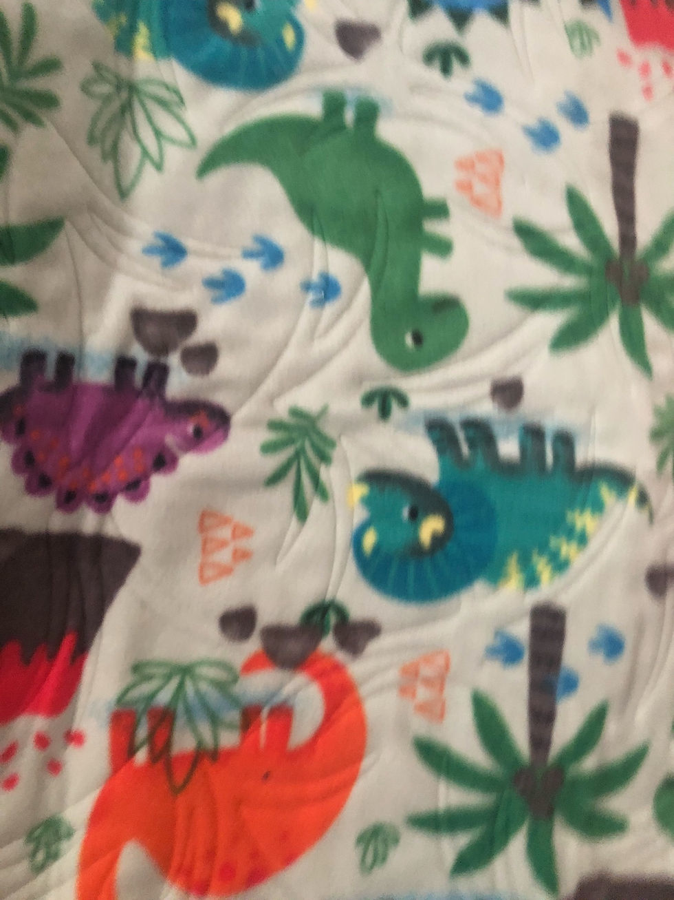 Thumbnail: #62 DINOSAURS #2