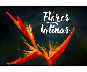 Présentation programmes.jpg