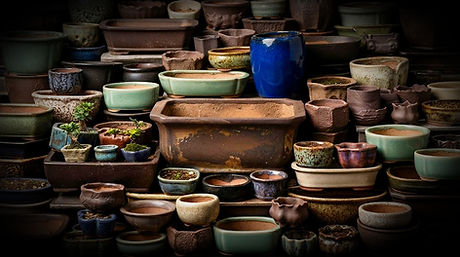 bonsai-pots_edited_edited.jpg