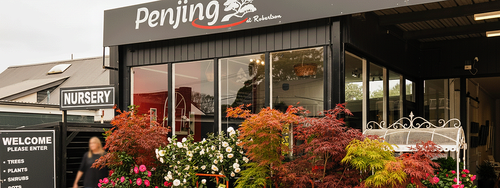 penjing-at-robertson-banner.png