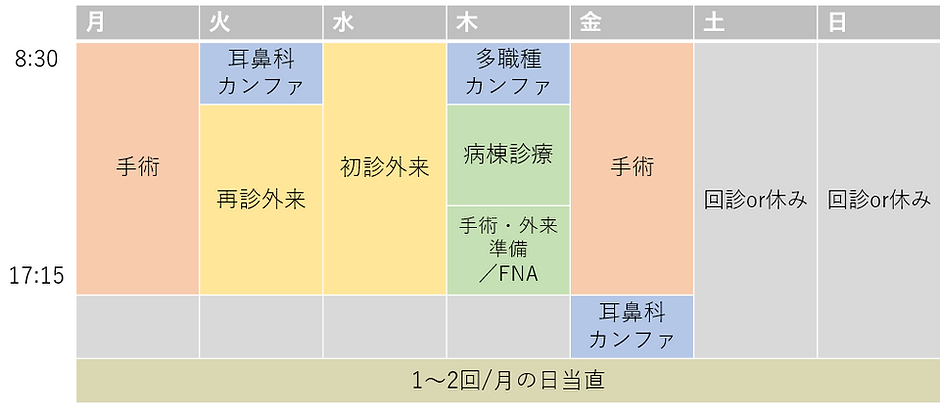 週間スケジュール2.png