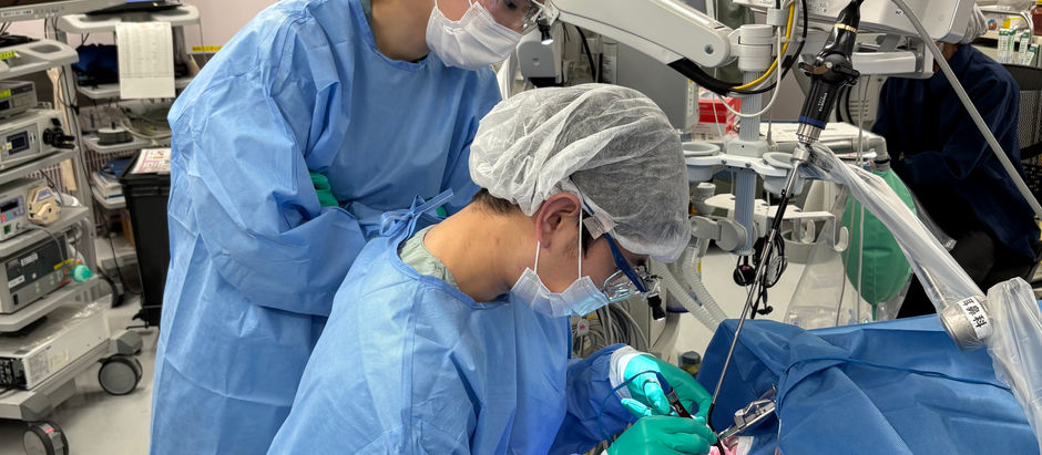 医大1年目秋月智仁先生が耳鼻科ローテ2か月目です。