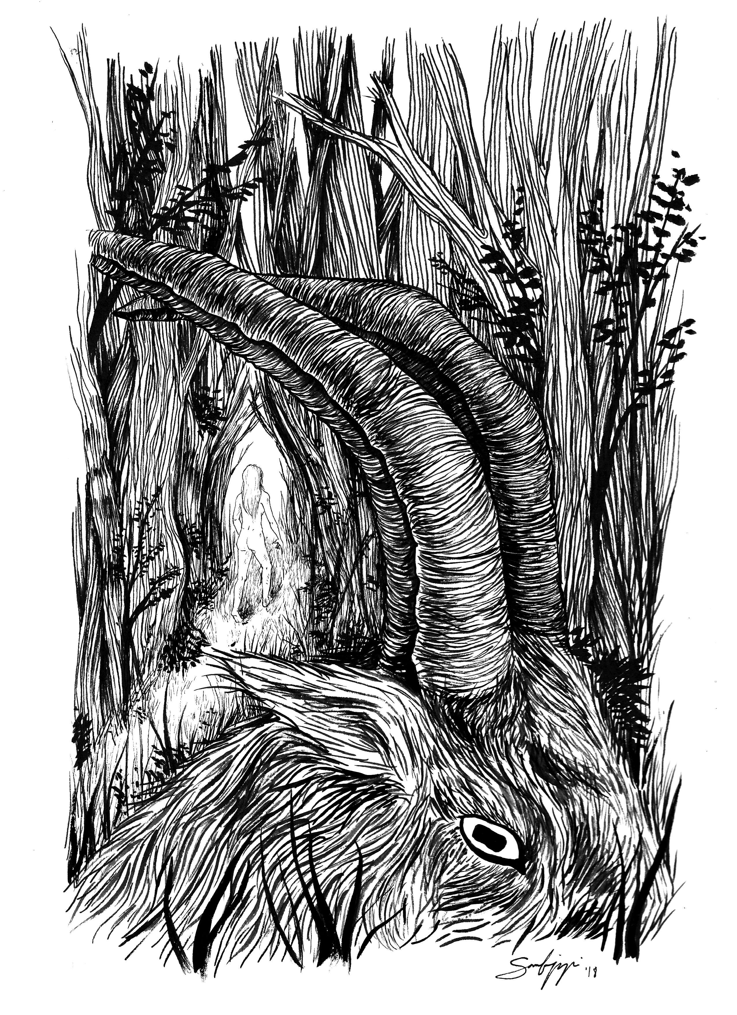 The Witch