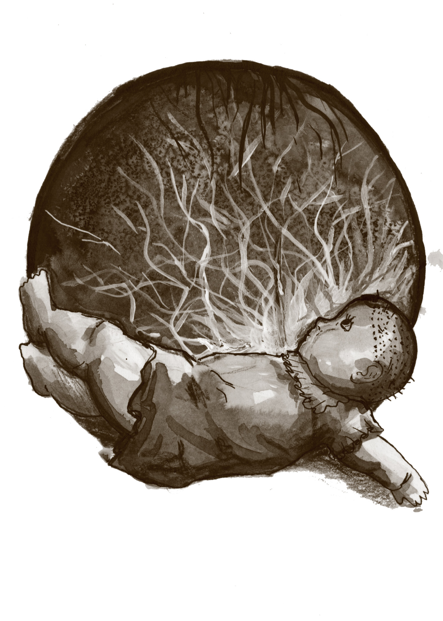 The Quiet Ones