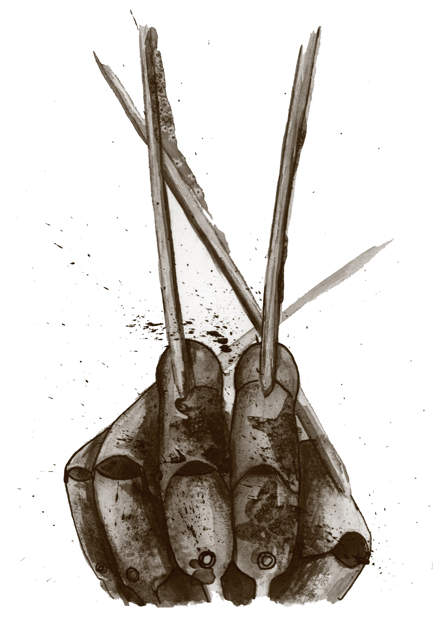 Nightmare on Elm Street