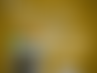 Terras Strijboshof: genieten in het groen