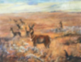 pronghorn antelope in golden grass oil painting