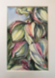 matted watercolor of yucca blossoms and a ladybug