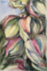 lady bug on yucca flowers watercolor Lindy Cook Severns