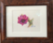Magenta cactus blossom drawing by Lindy Cook Severns, framed