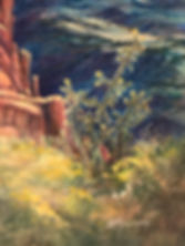 Where the Mountains Touch the Sky cactus detail