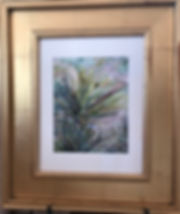 flowering yucca watercolor in gold frame by Lindy Cook Severns
