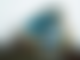 Europe’s banks quietly mobilise for economic warfare