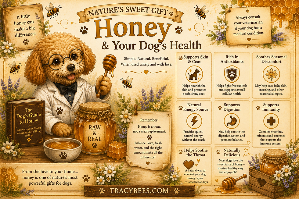 Honey & Your Dogs Health