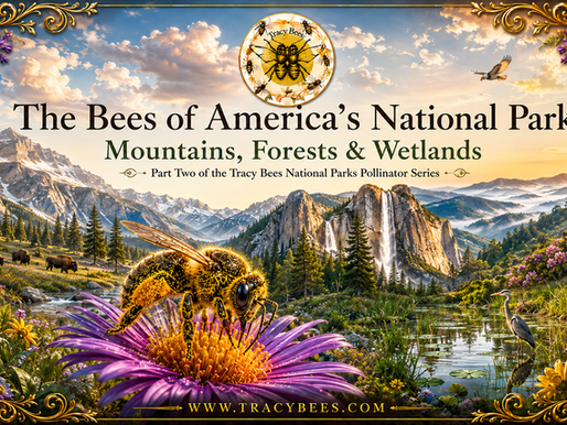 The Bees of America's National Parks: Mountain, Forest and Wetlands