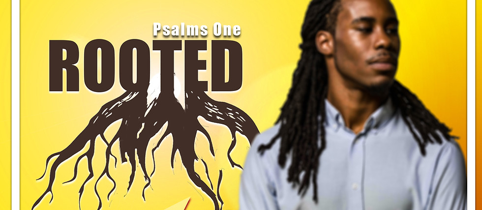 Rooted Series Main Graphic