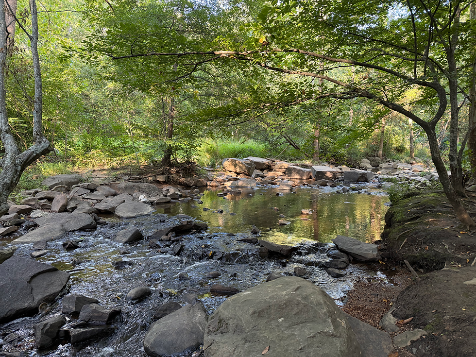 Nature Storytime