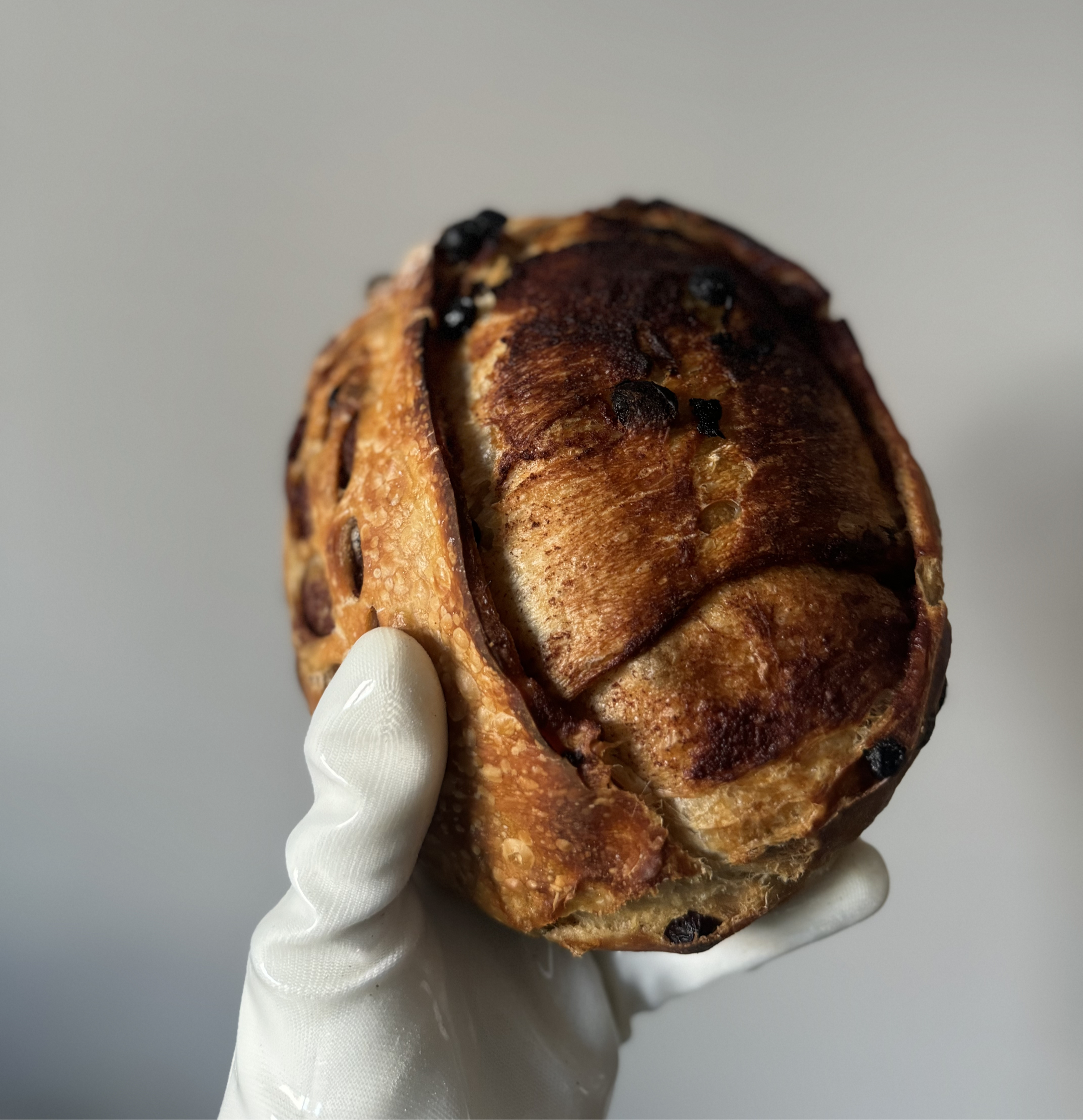Cinnamon Raisin