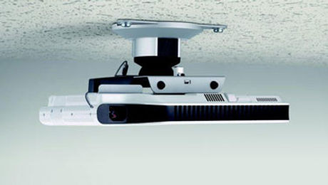 Startup Development Team