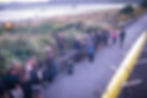 dscf6144