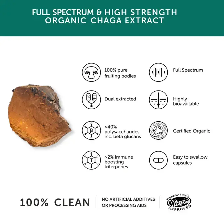 Thumbnail: Together Health Chaga Mushroom