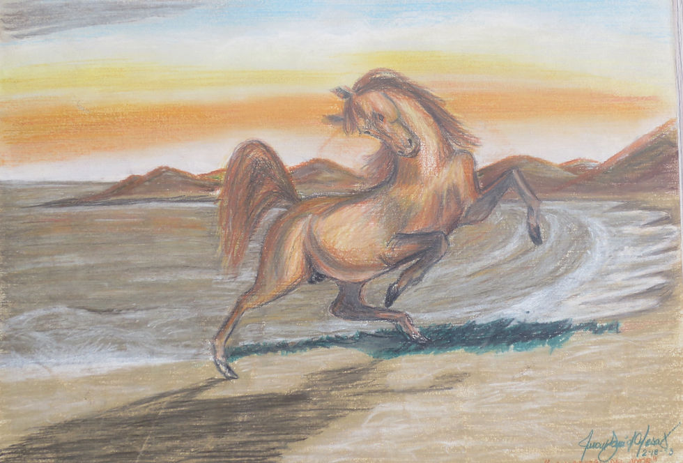 La Playa y el Caballo