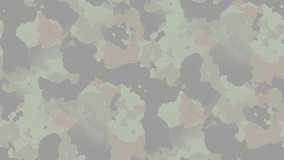 bgCamo007C.64b30c83.png