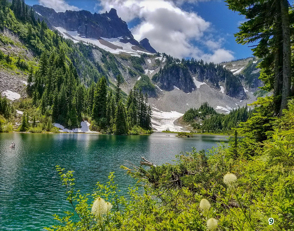 Thumbnail: Bigfoot's Inside's Guide to Mount Rainier National Park - Paradise
