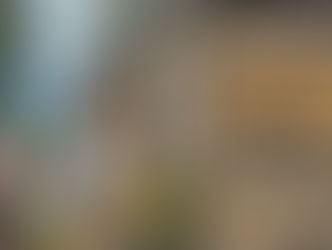 ～開運の宿田端屋～
１１２年の歴史に隠されたヒミツ♡
お伝えします！