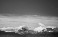 Captura de pantalla 2020-03-16 a la(s) 15.29.17