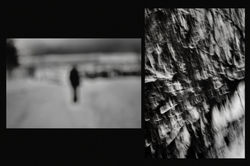 11412207_10208253155189088_4598792794154863115_o-2