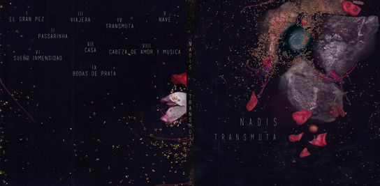 Disco exterior tapa contratapa lomo.jpg