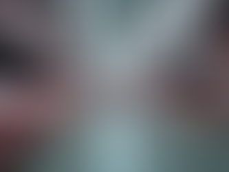 frozen chicken wholesale,