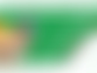 Combien de poulet le Brésil exporte-t-il par an ?