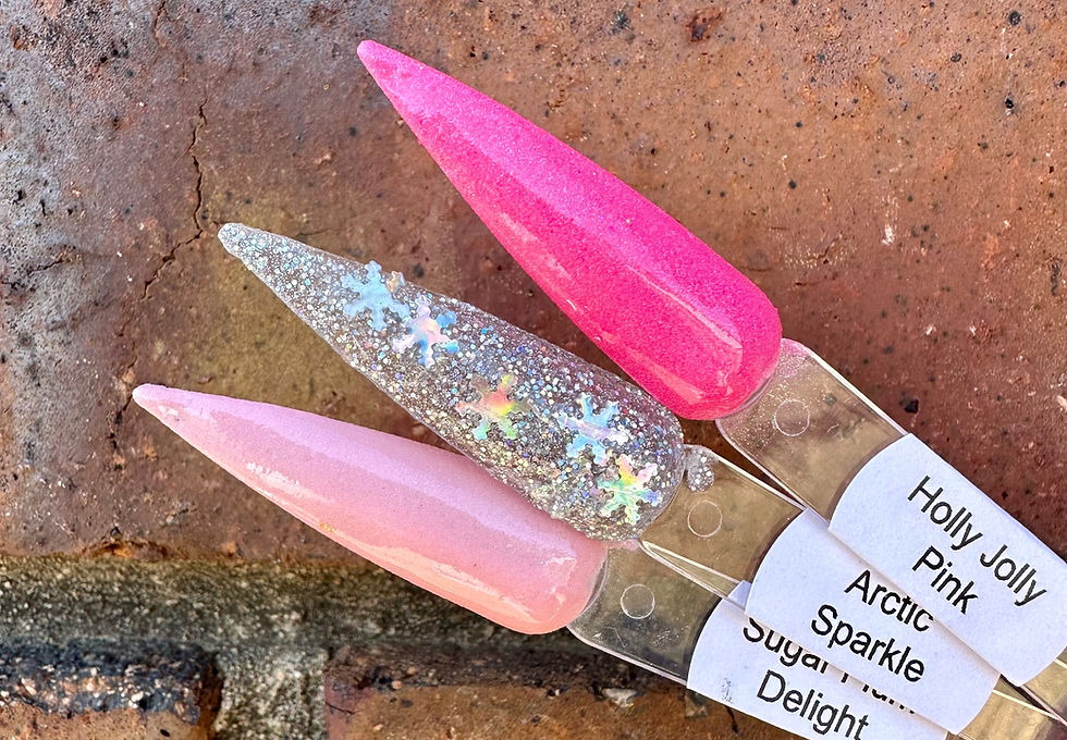 Sugar Plum Delight Holly Jolly Pink & Artic Sparkle Nail Dip Powders