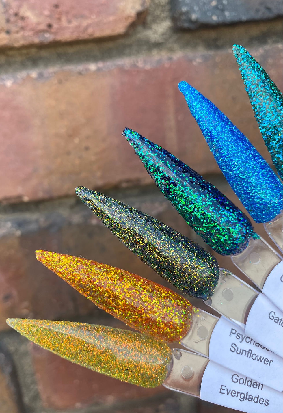 Thumbnail: Ursula, Green Monster, Olympus, Psychedelic Sunflower, Golden Everglades, Gator 