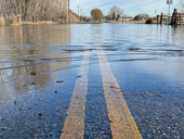 November 2023 Newsletter