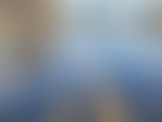 November 2023 Newsletter