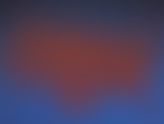 June 2020 Newsletter