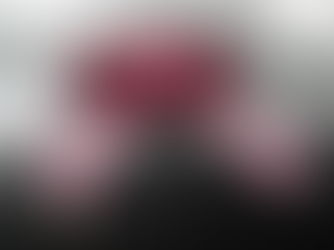 December 2024 Newsletter