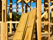 March 2022 Newsletter