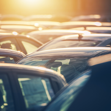 July 2021 Newsletter