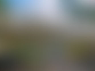 1月1日正午!3〜5月のサイト予約受付開始