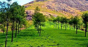 Photopint, Munnar