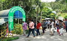 Spice Garden Visit